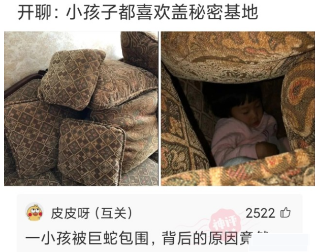 神回复|神回复：发现一个规律，娱乐圈名字带波的人，好像都不走运呢？