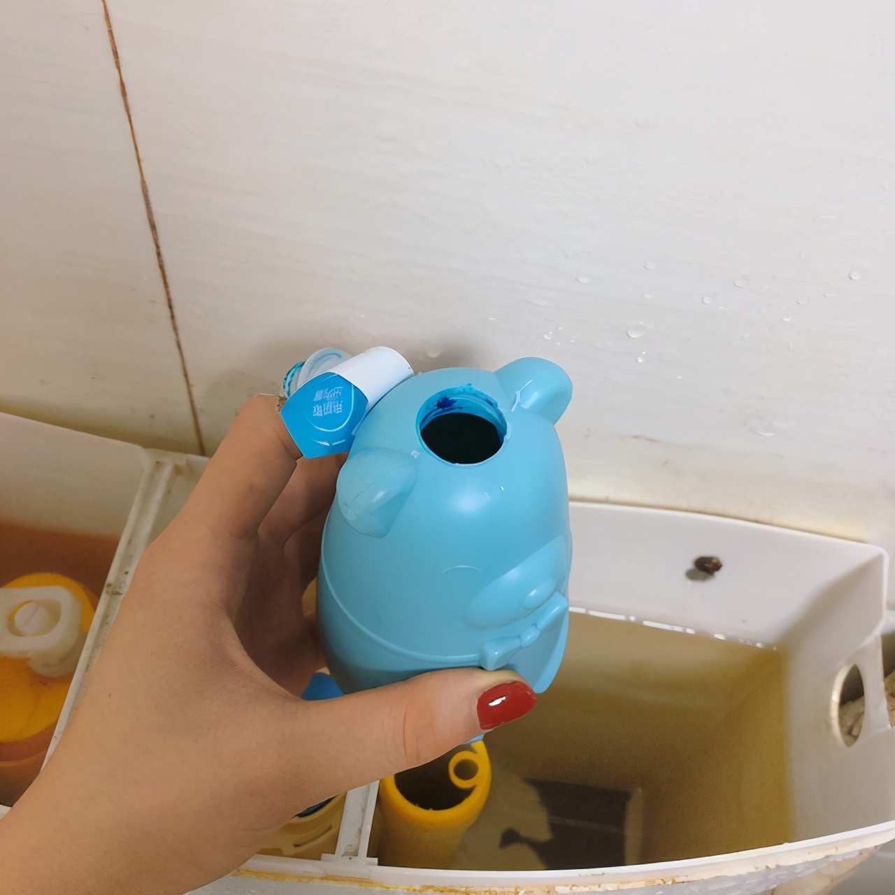 跟风添置的几样“网红好物”,个个都很实用,邻居看了都羡慕!