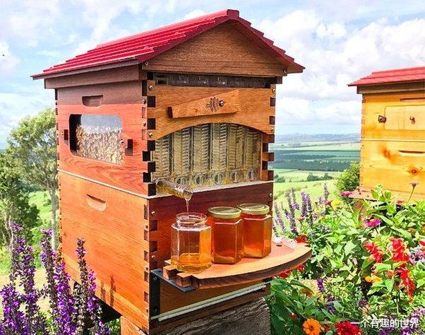 小小的改变,令人耳目一新,30个新奇的产品设计