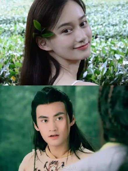 潜梦追凶|雷佳音入行是来认亲的吗？