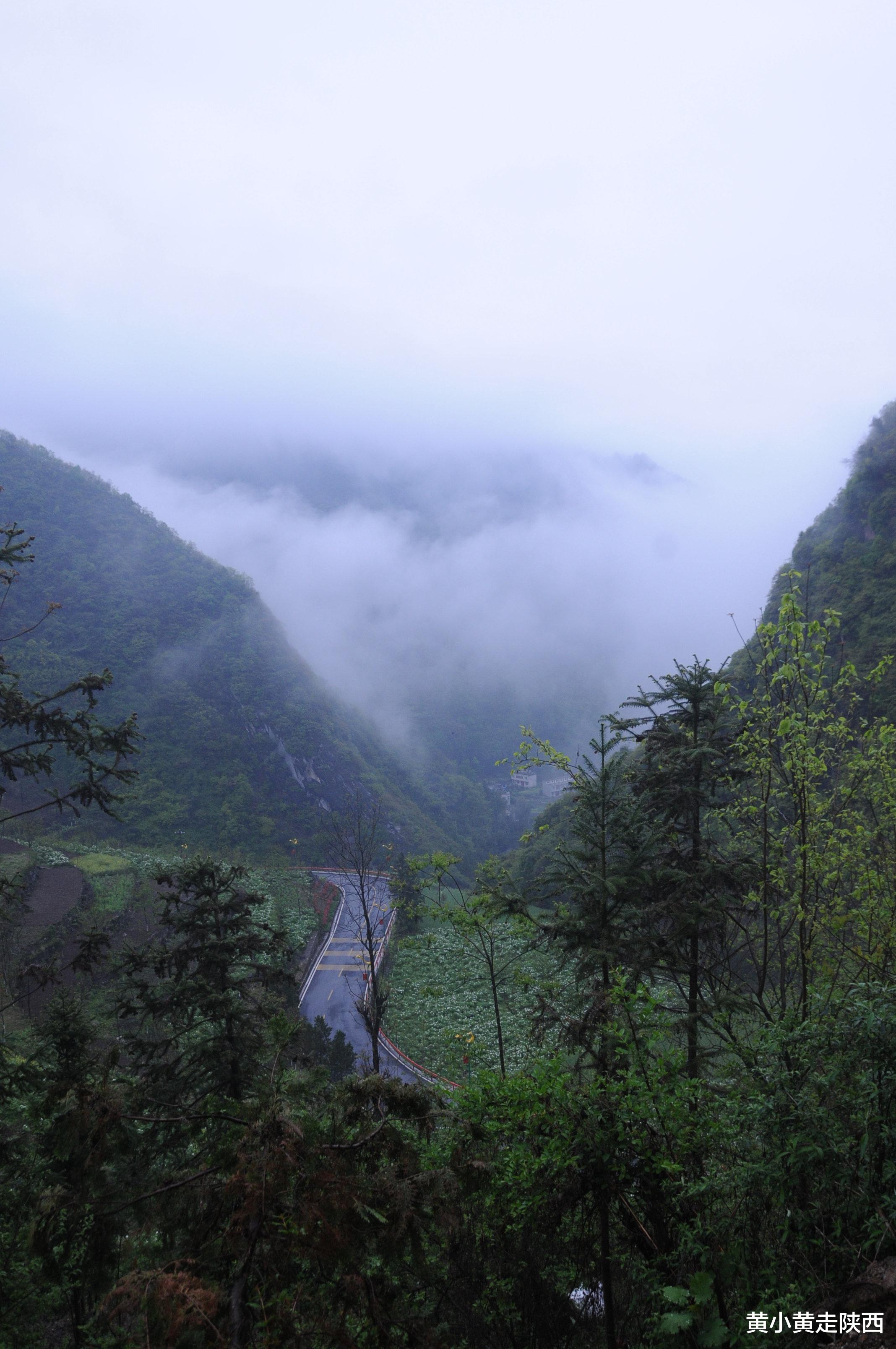 王莽|全境神级美景！陕西夏季避暑休闲最美小镇之一，腾云驾雾超凉爽