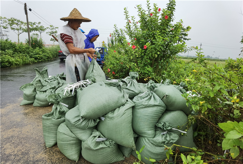广州市|农业旅游何其艰难，一场水灾让广州犇牛牧场损失20多万元