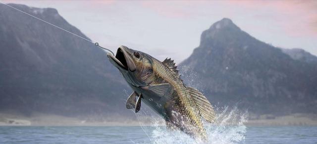 饵料|钓鱼界的发明家!云南一男子为实现钓鱼自由,独自设计打造床车