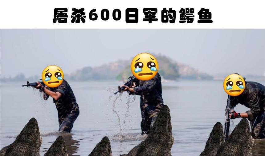 凶残的动物:人类历史上出现过的8次可怕且致命的动物袭击