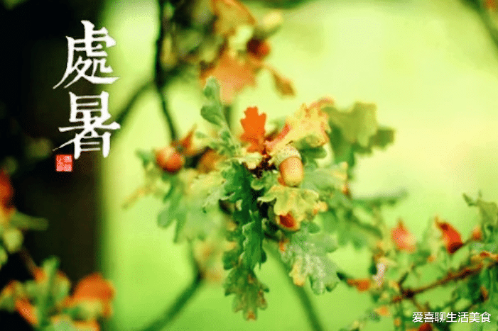 处暑将至,1肉2菜3果记得吃,顺应时节味道鲜,应季而食好入秋