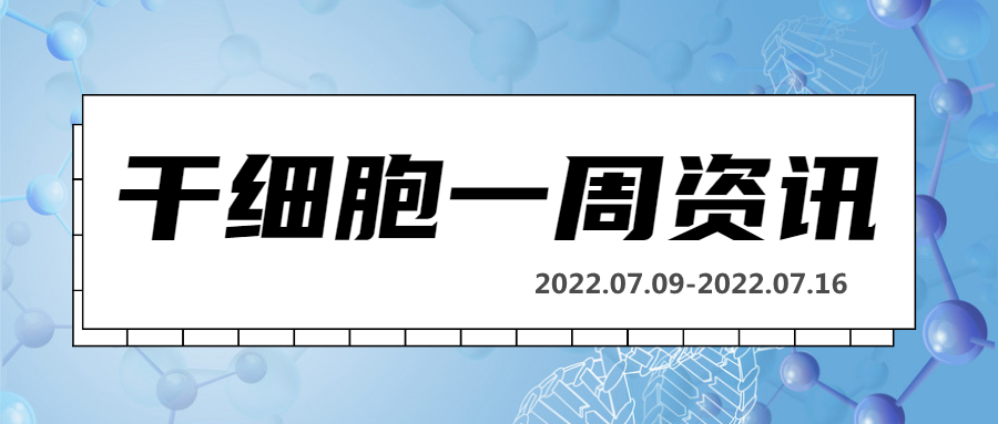 干细胞一周资讯（07.09-07.16）