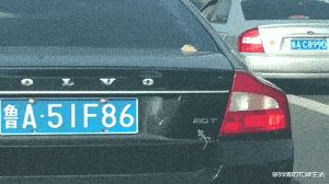 张庭|张庭林瑞阳现身机场一路小跑,落魄到像“逃难”,儿子早已拉黑其联系方式