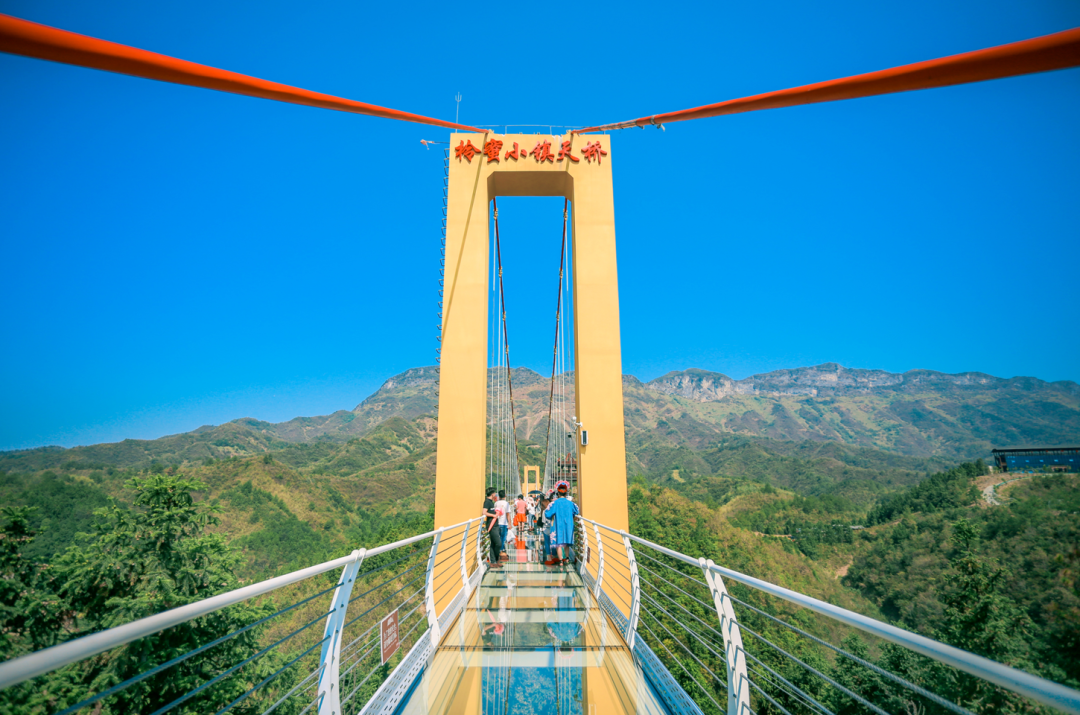 草原|咸宁的一天，原来可以美出四种色调！