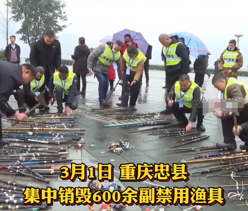 饵料|重庆3月1日起禁钓4个月, 真有必要销毁没收渔具, 警示非法垂钓吗?