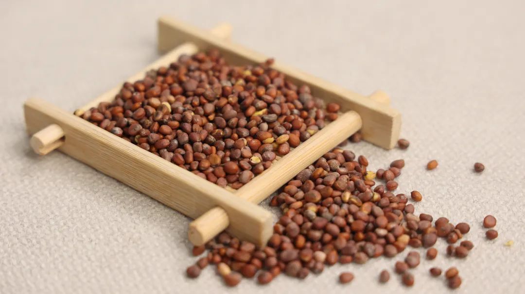 肠胃|一个神奇的配方,急慢性胃炎、肠炎、消化不良,肠胃问题一扫光