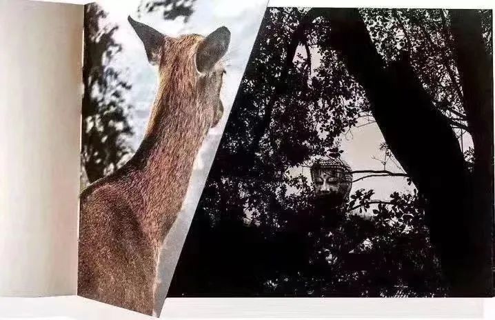 摄影的书不应该被摄影所束缚