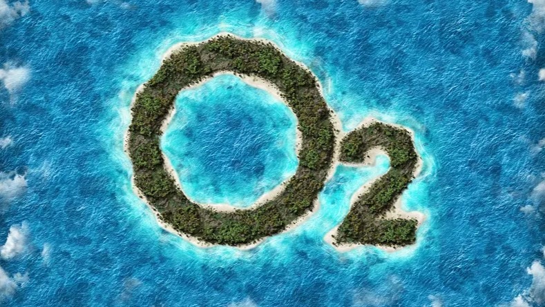 如果把地球上的所有沙漠,都变成森林会怎么样?代价恐难以承受