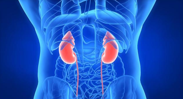 中草药|肾不好，脑先知，中医留下四味草药，让你把阳气找回了