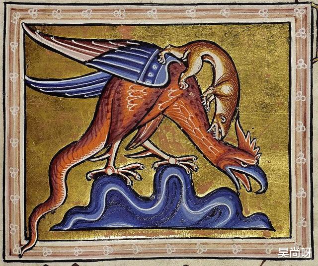 传说中的“鸡冠蛇”，毒性比眼镜蛇还强，现实中真的存在吗？