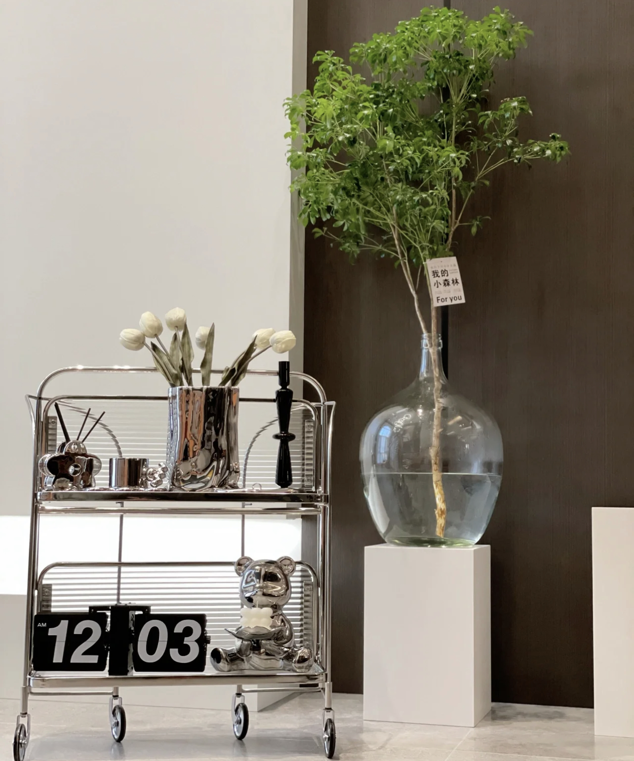 最廉价的家居颜值提升方式：给家里添置这5种东西！