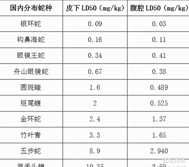 曾经千万一条的毒蛇，却成了毒蛇当中的吊车尾，莽山烙铁头