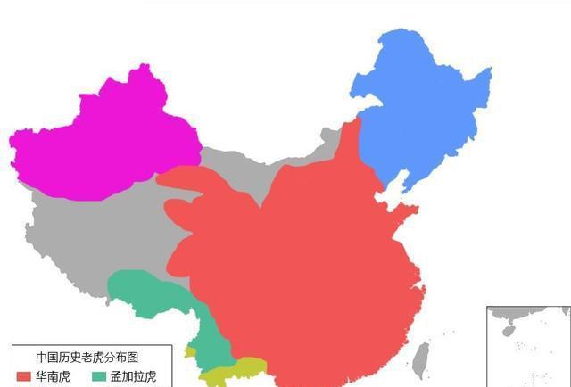 曾经称霸西域的新疆虎真的灭绝了吗?它是如何灭绝的?