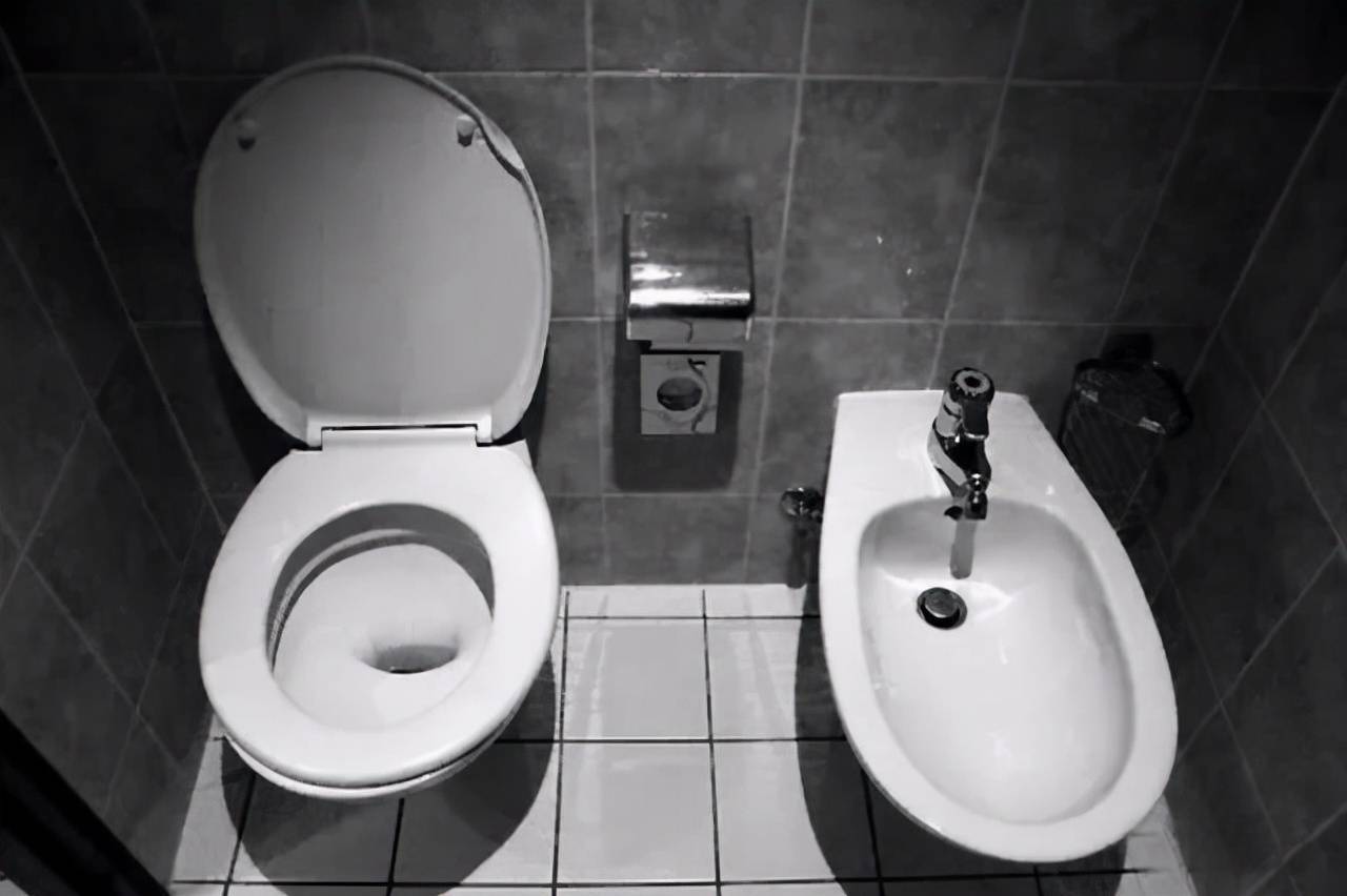 卫生间不是非要装“马桶”,看人家这么做,干净舒适又高级!