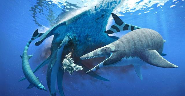 这种生物用五亿年证明一个道理:“只要足够废物,就没有天敌”