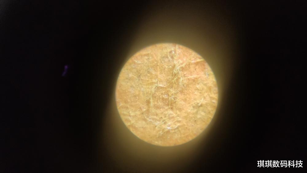 显微镜|星特朗便携显微镜：你将随时看到不一样的世界