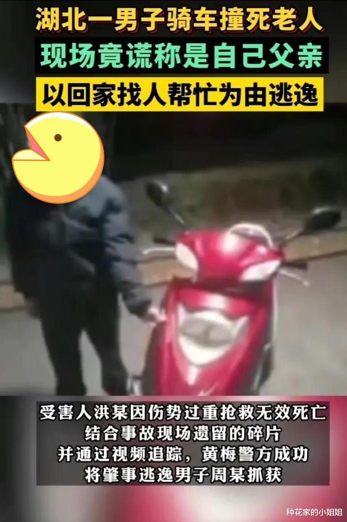 10月26日,湖北黄冈一男子撞死老人,竟然现场“认父”逃之夭夭!