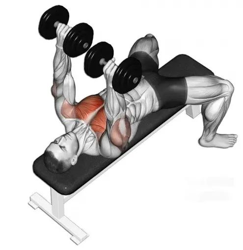 哑铃|哑铃的正确使用及锻炼方法