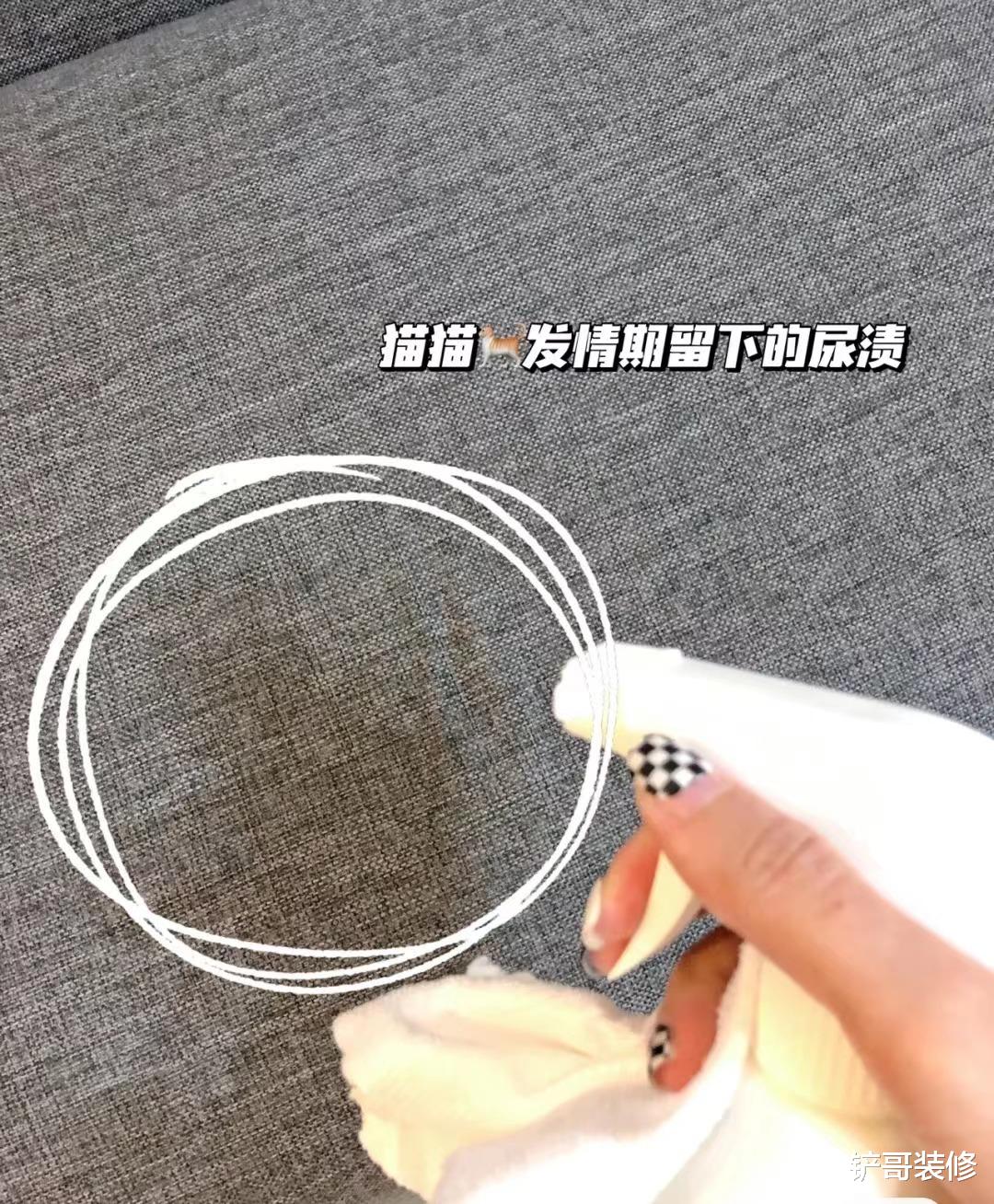 建议大家：这3种沙发别放在客厅，不是胡说，是真实经验分享