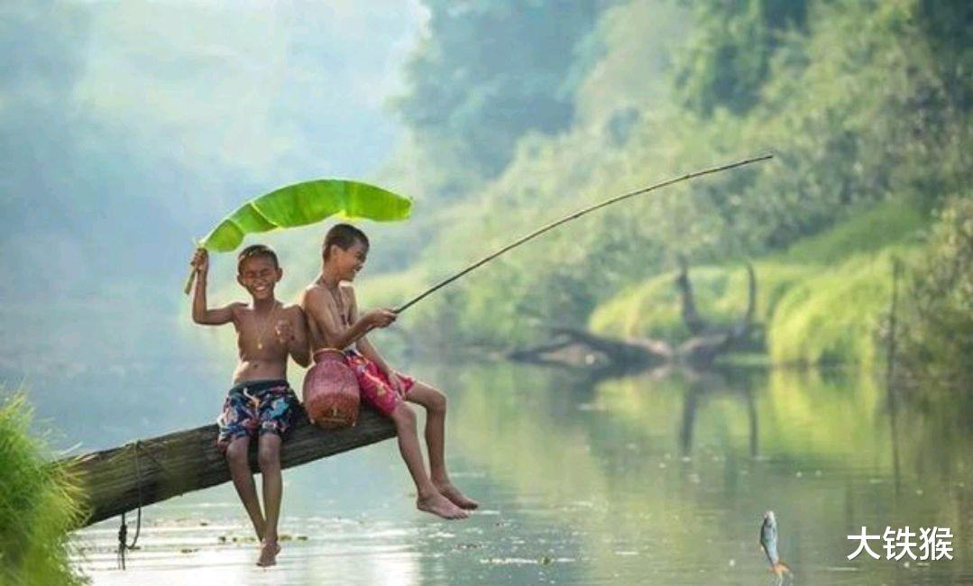 智商税|几十块的鱼竿也能钓很多鱼，为啥还有人买高档鱼竿，难道是智商税