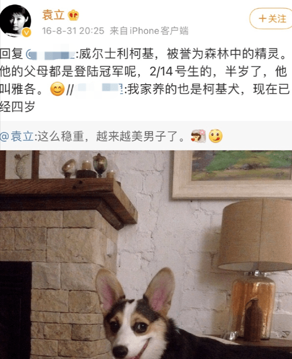 张译|以为是假新闻,其实是真新闻,张译、袁立、华晨宇,个个离谱惊人