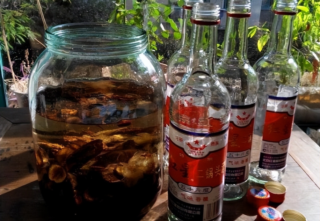 肉桂|制作这款钓鱼中药酒,操作简单且广谱性强,堪比网上百元小药