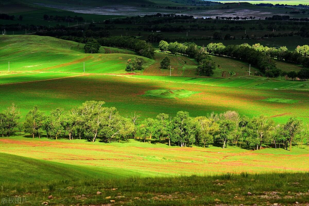 |郭进拴|绝美的坝上