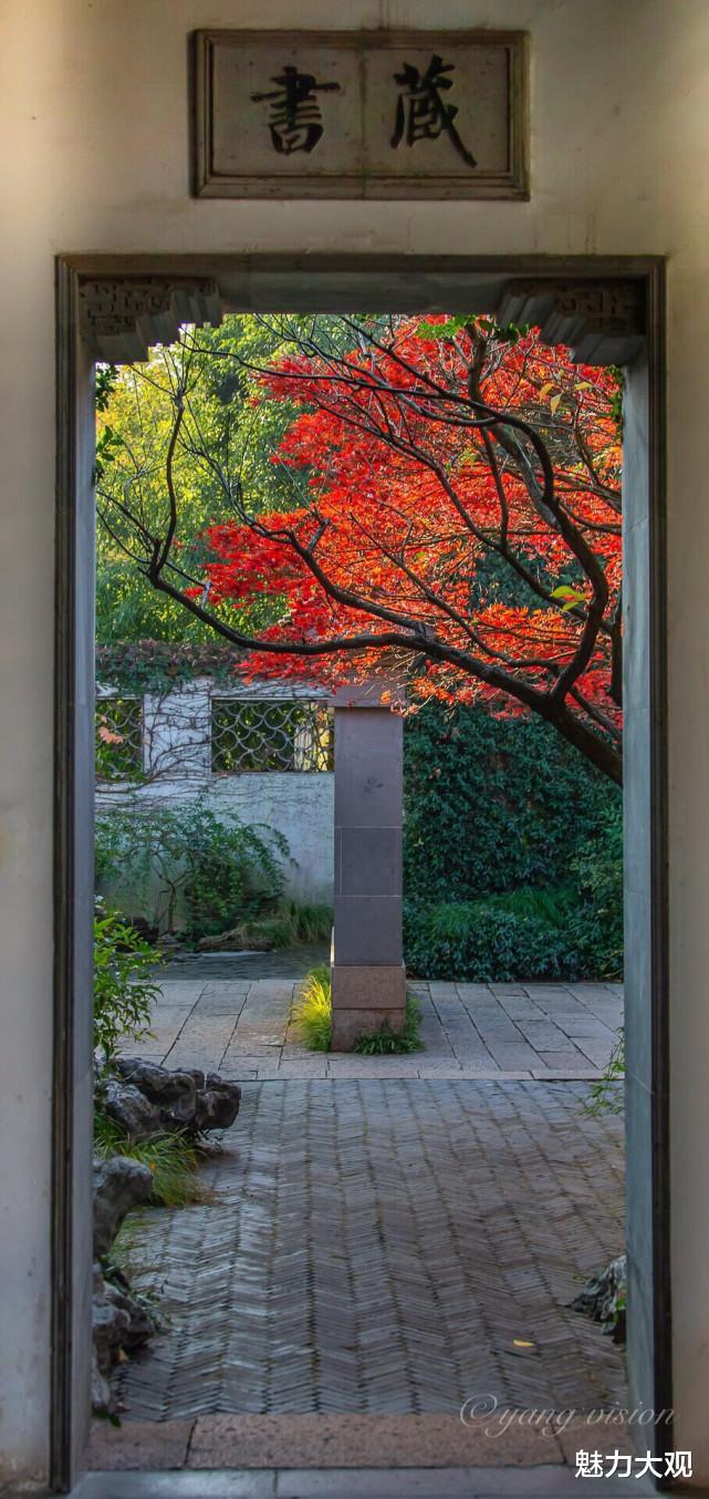 玩转庭院，低成本，高颜值，学会这几招你也可以