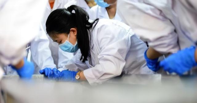 高校|理科550分,被成大临床所录取,家长对此感到有所遗憾