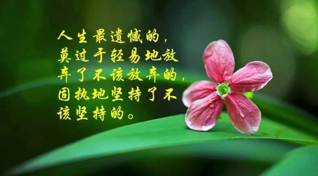 |敢于尝试,才能创造未知的可能......