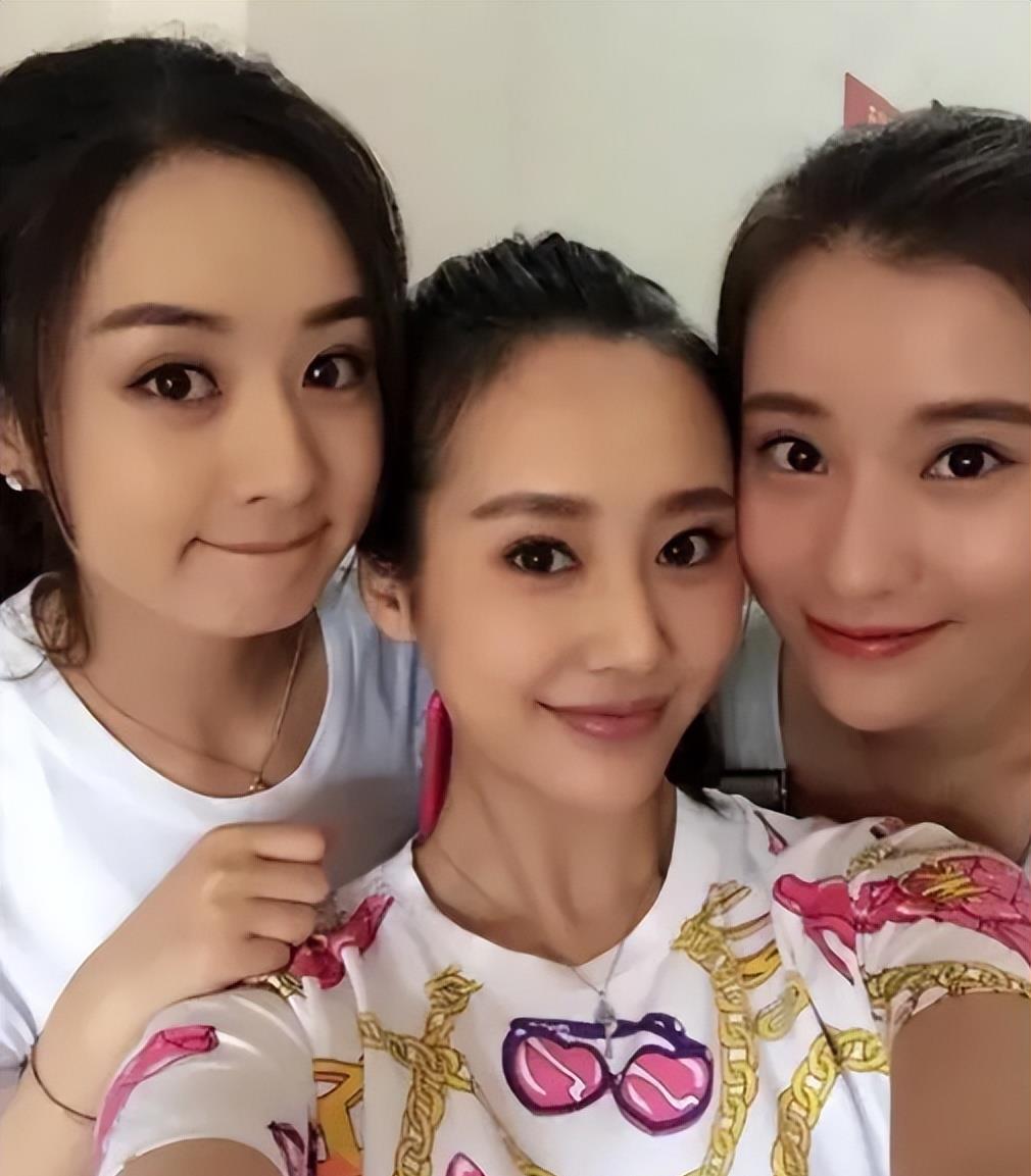 赵丽颖|“资本逆袭”赵丽颖：一年挣4亿，却因钱放弃孩子，网友：太可怜