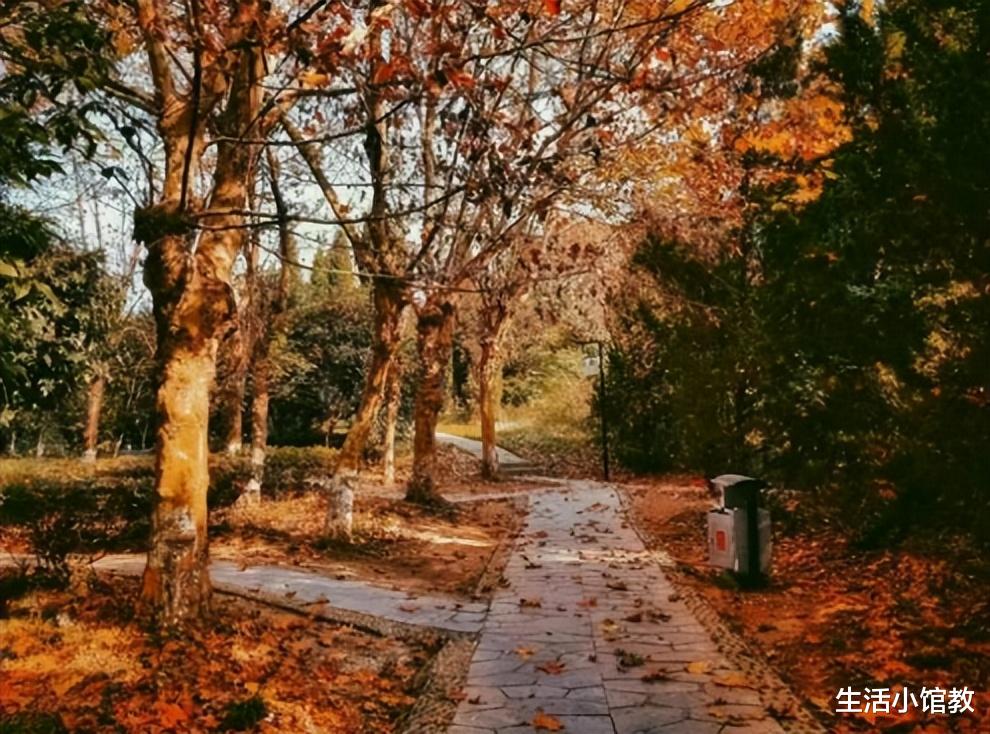 强迫症|寒露后，阴气重，建议多吃“2绿2水”，补阳驱寒更好入冬