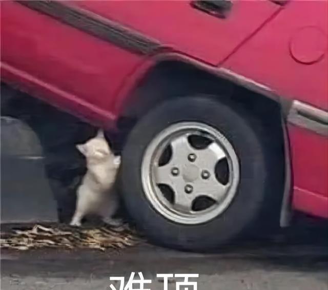 知乎|知乎10万高赞:“月薪2万,单休,每天工作12小时,你愿意吗?”