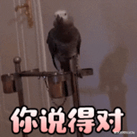 固特异|主城这里看日出日落绝美！晚上露营还凉快