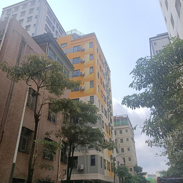 花50多万开了家餐饮加盟店,开业了才发现人都没有一个,怎么办?