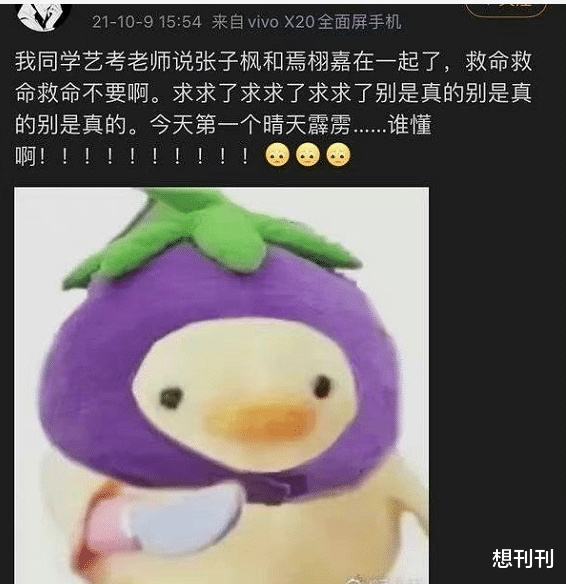 吴倩|这么多内娱女星上赶着倒贴渣男!全网都拉不住她们到底怎么想的?