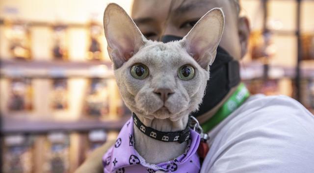 诈骗短信|电商卖家“直言”，这5种商品最好别在网上买，否则吃亏的是自己