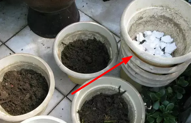 今天才知道,不该扔掉家里的泡沫箱!这5个妙用太实用了,还省钱