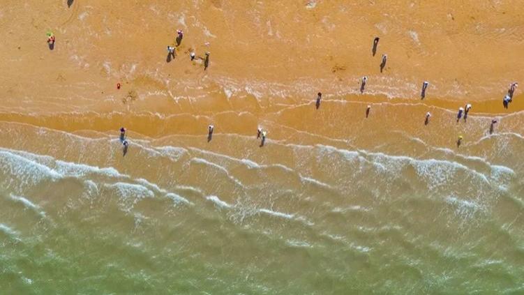 |天津夏天避暑：本地人最喜欢这三个地方