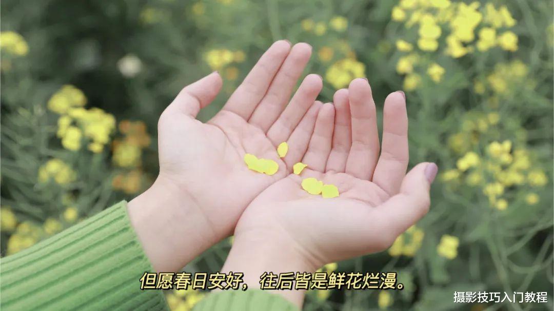 摄影技巧：春季油菜花拍照全攻略，真是太美了