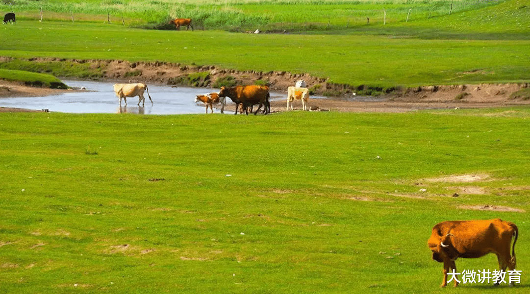快乐|不考虑职业歧视你想做什么?评论区让人意外,抛开尘俗都是凡人