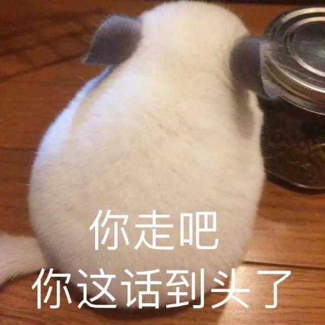 林黛玉|职场林妹妹，你见识过没？