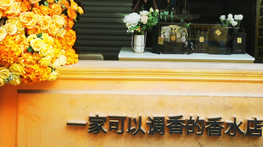 厦门|最美好的风景往往都在归途，厦门的惊喜奇遇