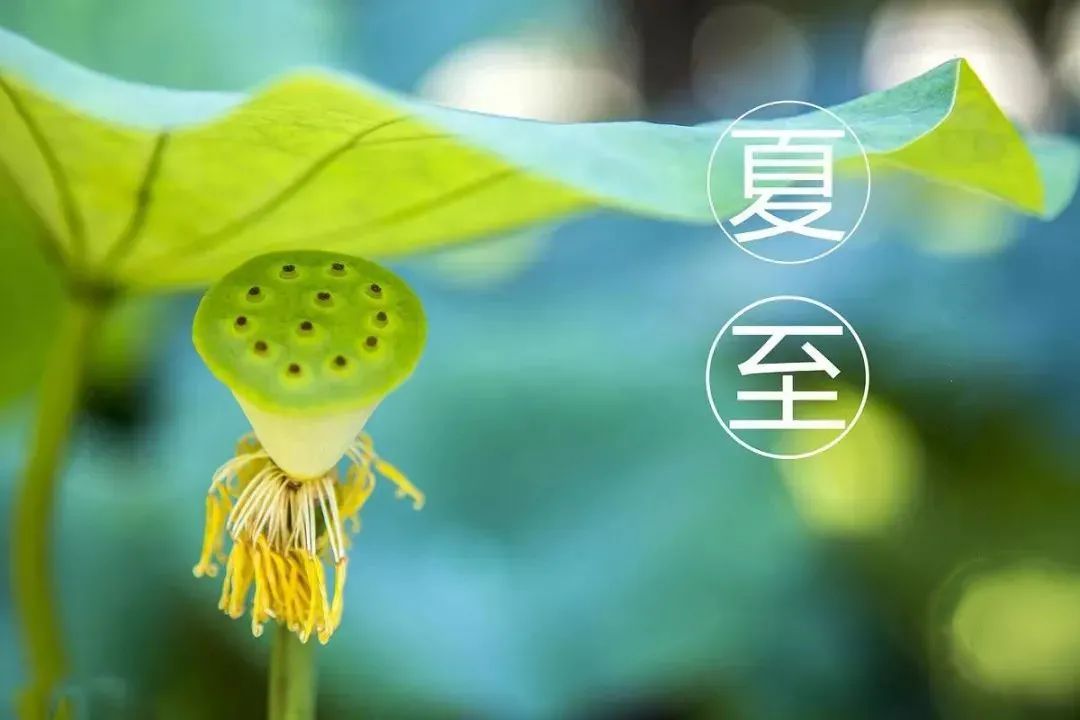 沙滩|夏至，人间最美六月天