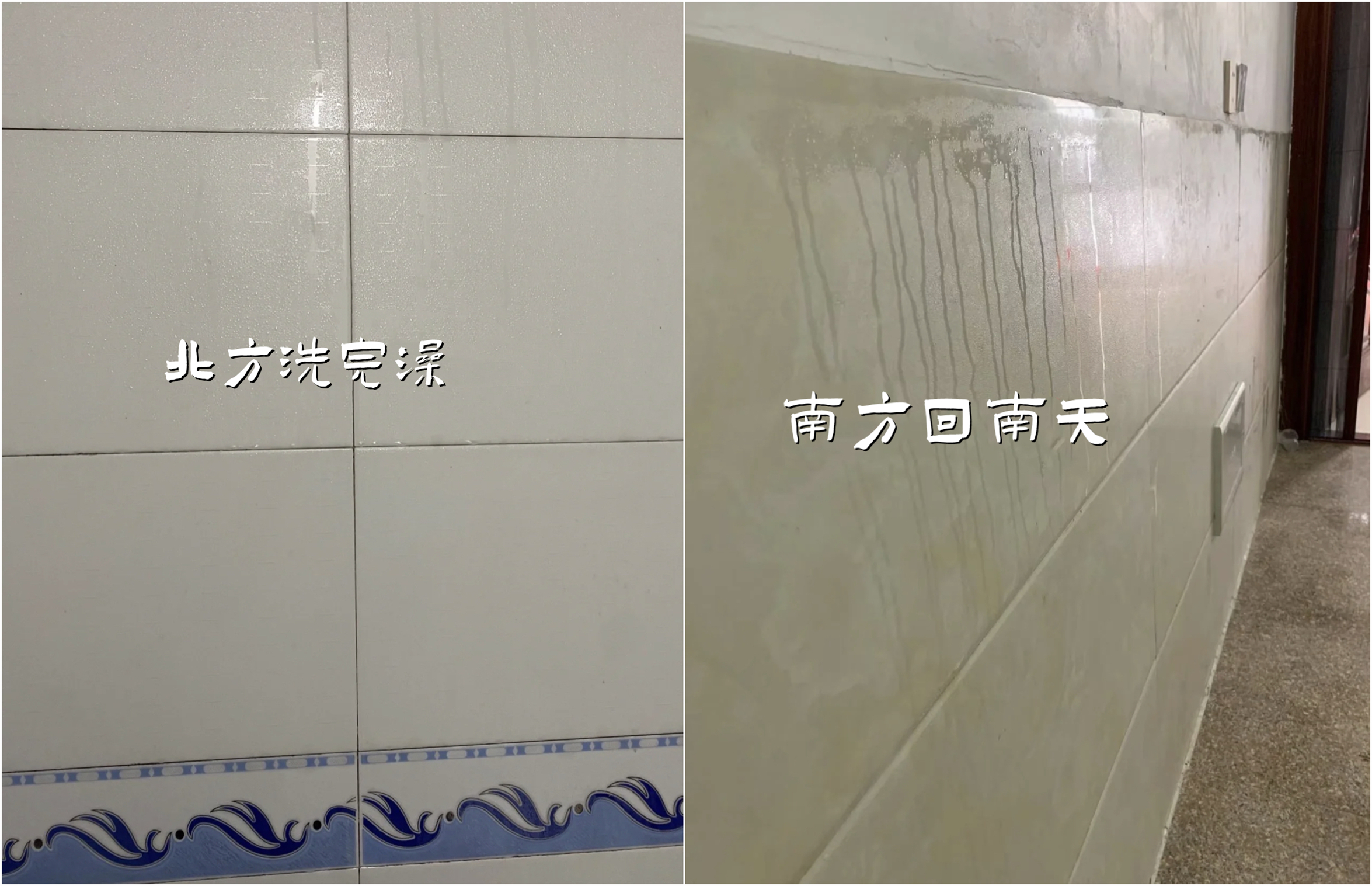 北方人觉得挺奇怪,但这12个家居物件,在南方人眼里却是香饽饽!