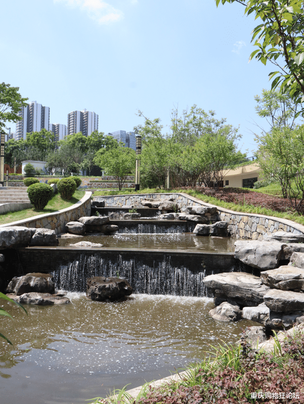 荷花|南岸藏着大片免费赏荷地，还有白鹭、儿童乐园…